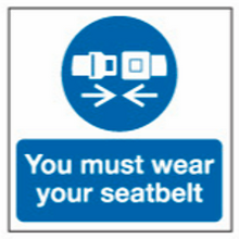 Load image into Gallery viewer, Wear Seat Belts Signs
