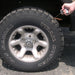 Fitting a Safety Seal repair plug into a trailer tyre using an insertion tool