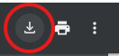 A screenshot showing how to download the PDF on desktop. It shows a download button that would be found in the top right corner of the page, and has this in a red circle.
